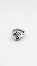 Anillo Gaia