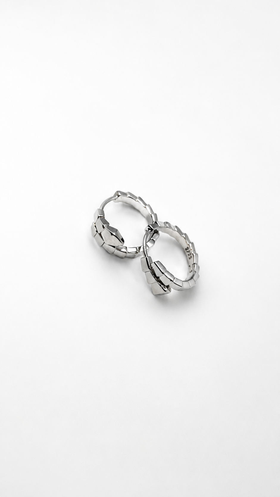 Aretes Serpiente