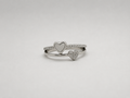 Anillo Liaison