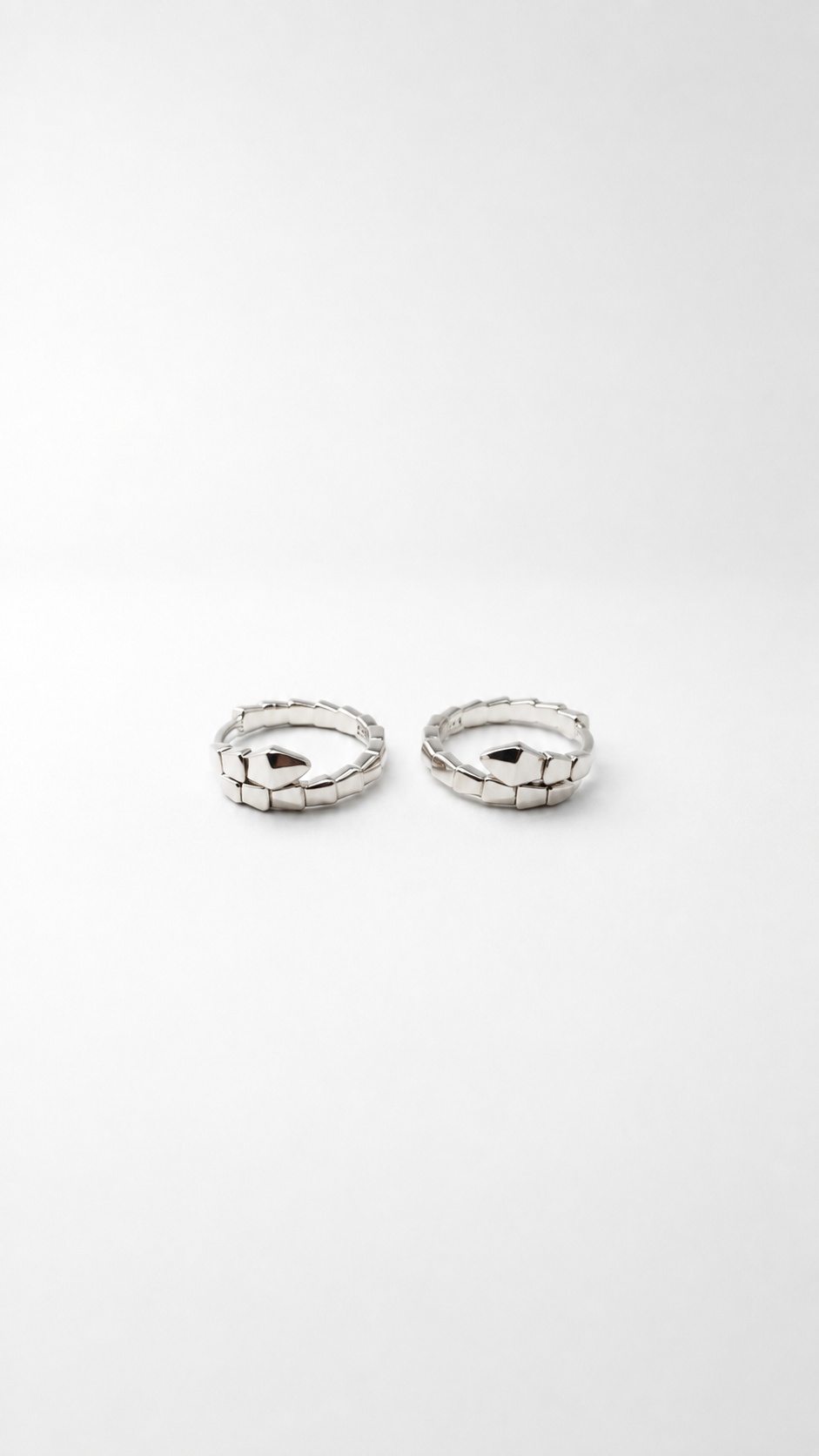 Aretes Serpiente