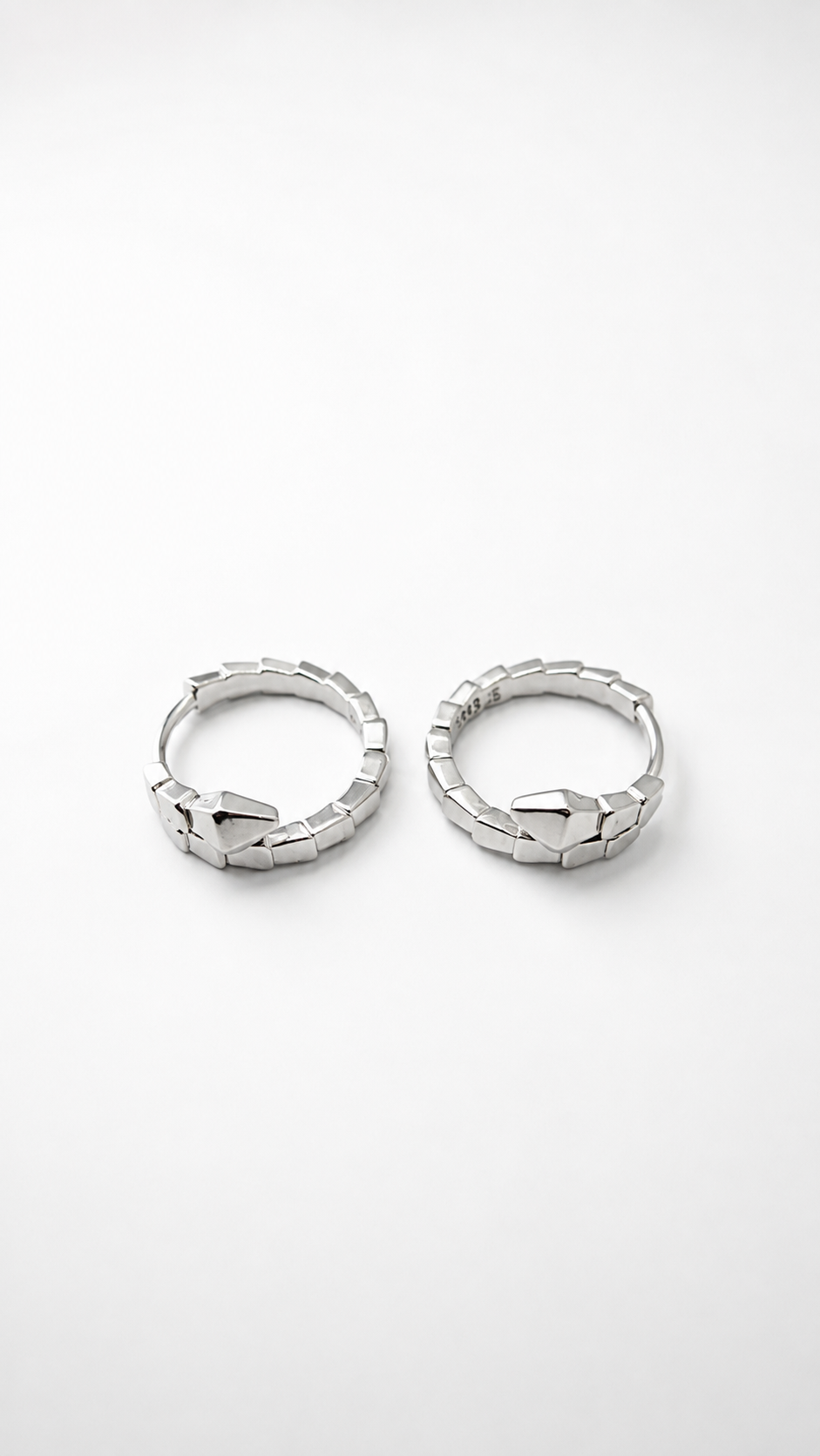 Aretes Serpiente