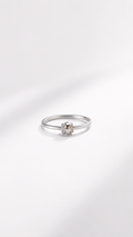 Anillo Lumi